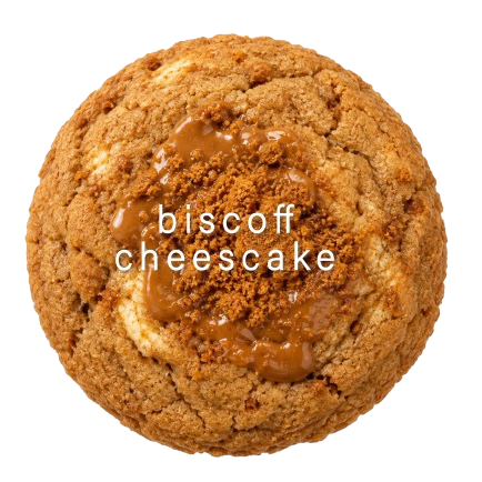 Biscoff Cheescake